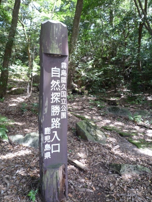 丸尾自然探勝路 きりしまブログ